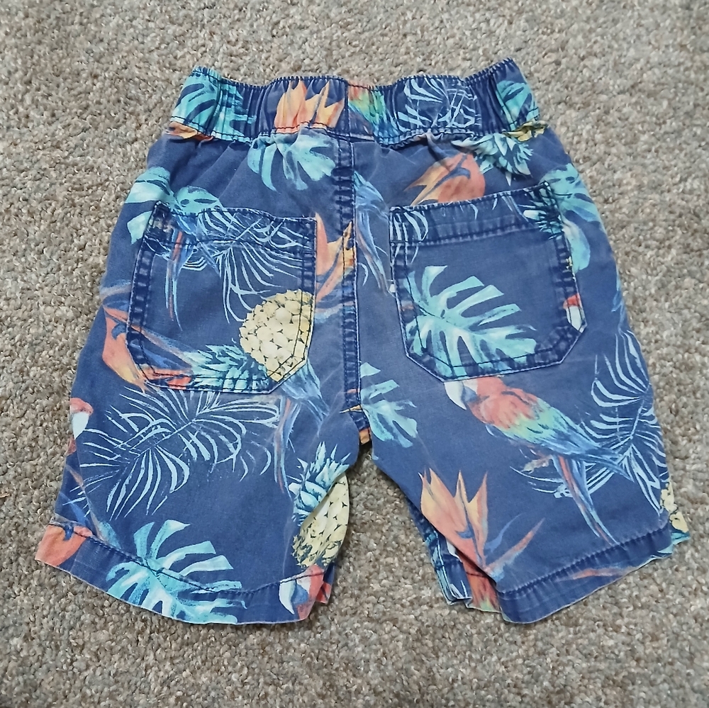 The Children's Place Tropical Print With Parrots And Pineapples Boys 3T Shorts - Picture 2 of 3